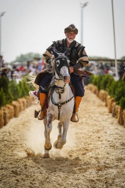 İSTANBUL, TURKIYE - 24 Mayıs 2025: Etnospor Kültür Festivali 'nde Binicilik Şovu