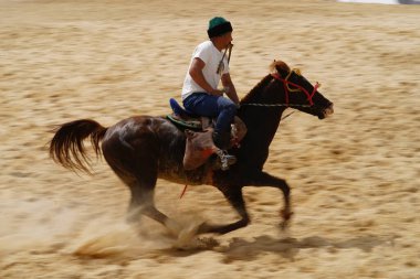 ISTANBUL, TURKIYE - 24 Mayıs 2025: Etnospor Kültür Festivali sırasında Kokboru Oyunu