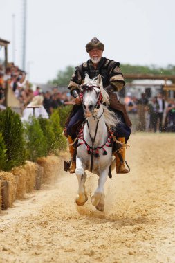 İSTANBUL, TURKIYE - 24 Mayıs 2025: Etnospor Kültür Festivali 'nde Binicilik Şovu