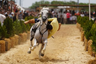 İSTANBUL, TURKIYE - 24 Mayıs 2025: Etnospor Kültür Festivali 'nde Binicilik Şovu