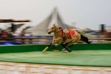 ISTANBUL, TURKIYE - 25 Mayıs 2025: Etnospor Kültür Festivali 'nde binicilik gösterisi