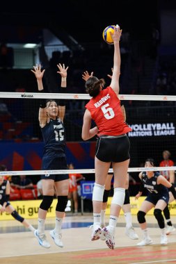 ISTANBUL, TURKIYE - 20 Haziran 2025: Güney Kore - Belçika VNL Havuz Maçı sırasında Sinan Erdem Kubbesi 'nde oynanan Çay Radoviç