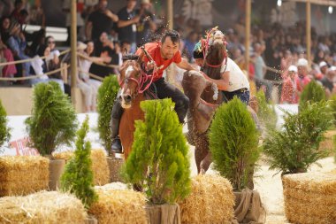 ISTANBUL, TURKIYE - 24 Mayıs 2025: Etnospor Kültür Festivali sırasında Kokboru Oyunu