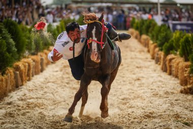 İSTANBUL, TURKIYE - 24 Mayıs 2025: Etnospor Kültür Festivali 'nde Binicilik Şovu