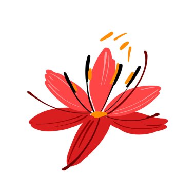 Yanında uçan polen erkek organları olan güzel kırmızı bir çiçek. Dekorasyon için basit parlak renkli botanik elementi yönlendir. Çiçek tasarımı