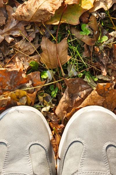 Comfortable Casual Gray Leather Shoes Green Grass Orange Autumnal Leaves — Stock Photo, Image
