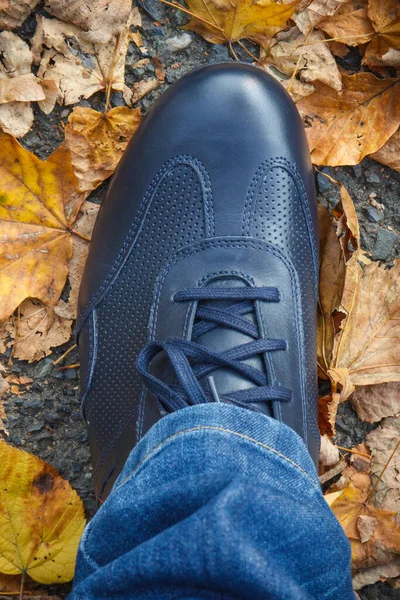 Cómodos Zapatos Cuero Azul Marino Casual Para Hombres Camino Asfalto —  Fotos de Stock
