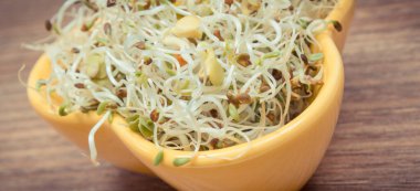 Alfalfa ve turp filizleri sandviçlere sağlıklı bir ek olarak. Doğal vitaminler ve mineraller