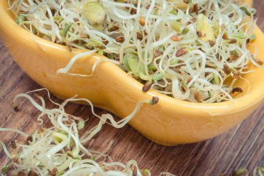 Alfalfa ve turp filizleri sandviçlere sağlıklı, besleyici ve doğal bir ilave.