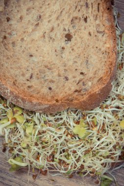 Alfalfa ve turp filizi ve kepekli ekmek dilimi. Sandviçlere sağlıklı bir ilave. Doğal vitaminler ve mineraller