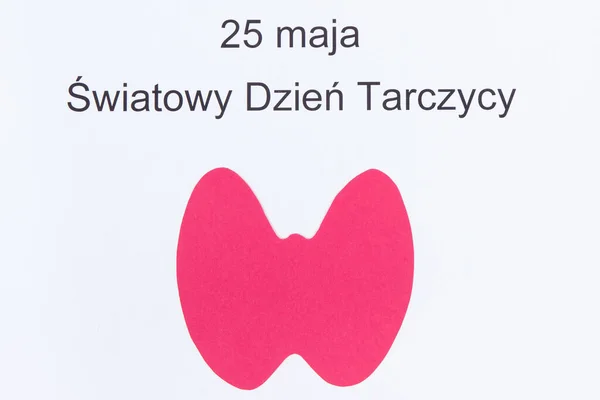 Розовая Форма Щитовидной Железы Бумаги Полированной Надписи Мая Всемирный День — стоковое фото