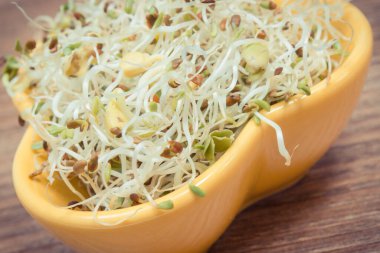 Alfalfa ve turp filizleri sandviçlere sağlıklı bir ek olarak. Doğal vitaminler ve mineraller