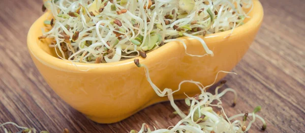 アルファルファと大根はサンドイッチに栄養価の高いものとして芽を出す 天然のビタミンやミネラルの源 — ストック写真