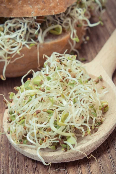 Alfalfa Radish Sprouts Wholegrain Roll Healthy Addition Sandwiches Source Natural — Stock Photo, Image