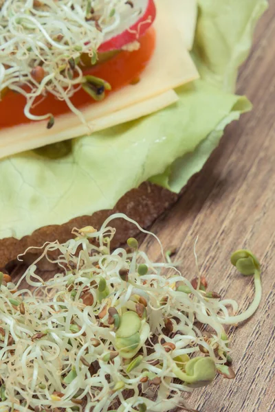 Свежий Сэндвич Цельнозерновым Хлебом Сыром Овощами Здоровой Редькой Природные Витамины — стоковое фото