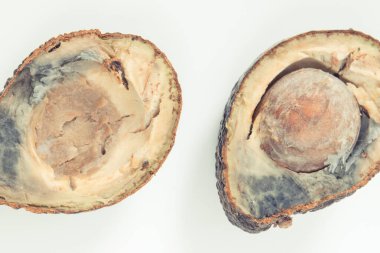 Beyaz arka planda küf olan yenilemez avokado. Sağlıksız yiyecekler