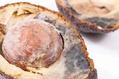 Beyaz arka planda küf olan yarım bir avokado. Sağlıksız ve bozulmuş yemekler.