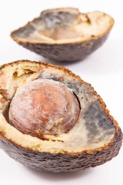 Beyaz arka planda küf olan yarım bir avokado. Sağlıksız ve bozulmuş yemekler.