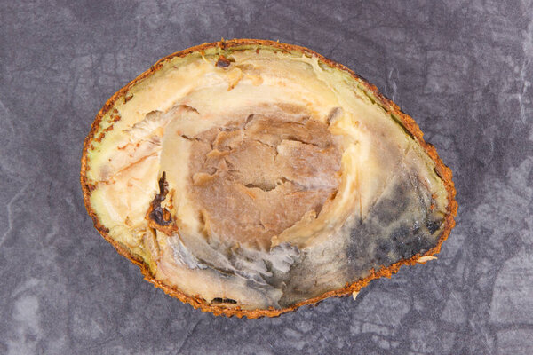 Half of an avocado with mold on dark wooden background. Unhealthy and spoiled food