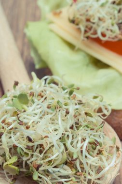 Turp filizi ve peynirli kepekli sandviç, sebze ve sağlıklı lahanalar. Doğal vitaminler ve mineraller