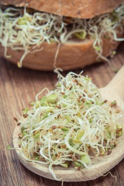 Alfalfa ve turp lahanası bir dilim ekmek ya da rulo ile. Sandviçlere sağlıklı bir ilave. Doğal vitaminler ve mineraller