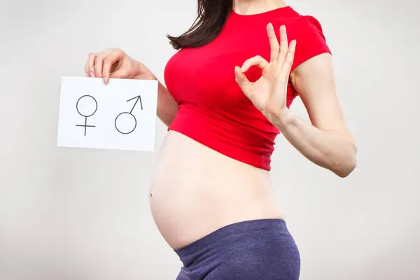 Pregnant woman holding white card with female and masculine symbol. Expecting birth of girl or boy. Extending family. Motherhood