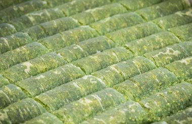 Geleneksel hindili baklava şam fıstığı, fındık ve bal