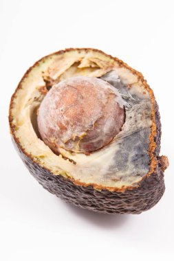 Küflü avokado. Beyaz arka planda sağlıksız ve iğrenç meyveler