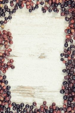 İçinde doğal vitaminler ve mineraller bulunan taze olgun elderberry çerçevesi. Sağlıklı beslenme ve doğal tedavi yöntemleri. Metin veya yazı için yer