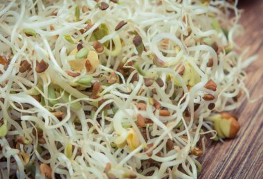 Alfalfa ve turp filizleri sandviçlere sağlıklı, besleyici ve doğal bir ilave.