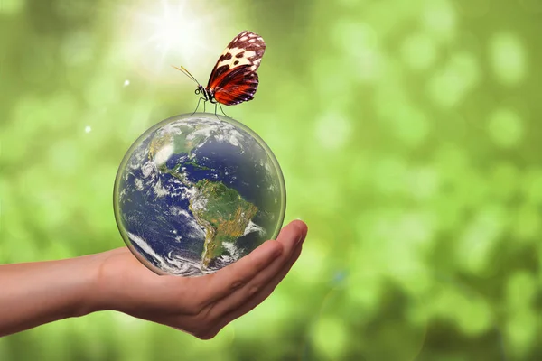 Koncepcja Ochrony Środowiska Naturalnego Planetą Ziemia Wewnątrz Szklanej Kuli Motyla — Zdjęcie stockowe