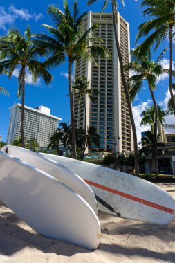 Waikiki sahilinde sörf tahtaları, Honolulu, Oahu, Hindistan cevizi palmiyeleri ve şehir merkezindeki binalar. Waikiki, neredeyse tamamen insan yapımı olan Waikiki plajı ile ünlü Honolulu 'nun bir mahallesidir. Dikey yönelim.