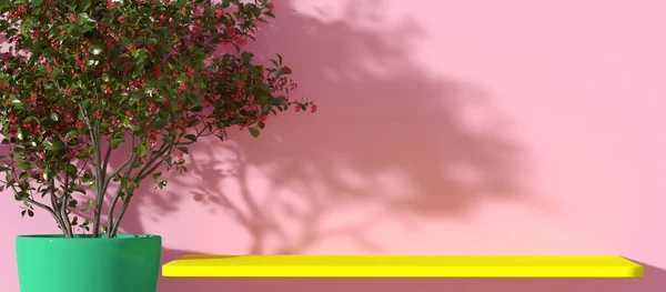 Απόδοση Πράσινου Φυτού Κίτρινο Άδειο Ράφι Ροζ Τοίχος Σκιά Των — Φωτογραφία Αρχείου