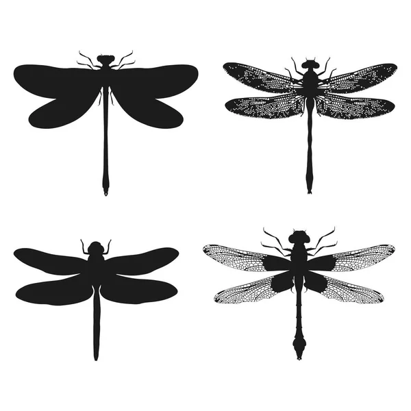 Set Aus Schwarzen Silhouetten Der Libelle Isoliert Auf Weiß Vektorillustration — Stockvektor