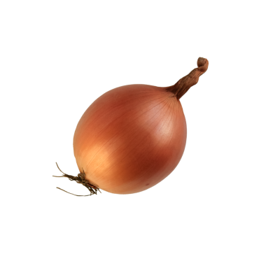 Şeffaf bir arka planda izole edilmiş, kağıt gibi derisi ve sapı olan tek bir sarı soğan..