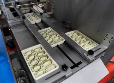 Gıda Sanayi, Fod üretim ve paketleme işlemi, gıda yüksek otomatik makine ile üretim teknolojisi