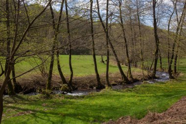 Baharda yeşil bir çayırda akan küçük bir nehir.