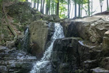 Sersemletici bir şelale, yemyeşil kayalıklarla çevrili yosunlu kayalıklardan süzülerek sakin bir orman manzarası oluşturur..