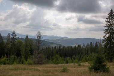 Bulutlu bir gökyüzünün altında sık ve yeşil ağaçların olduğu bir dağ manzarası. Ön planda çimenlik bir alan var.