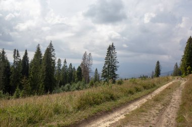 Manzaralı bir dağ manzarası, bulutlu bir gökyüzünün altındaki yemyeşil ağaçlar tarafından çerçevelenmiş çimenli arazide dönen toprak bir yola sahiptir..