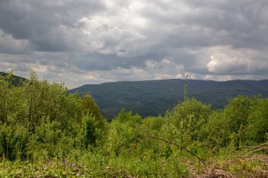 Bulutlu bir günde manzaralı bir dağ manzarası. Önünde yemyeşil ağaçlar var..