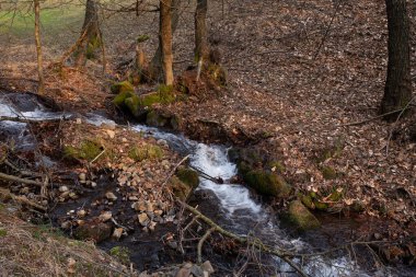 Akan bir derenin, kayaların ve düşen yaprakların olduğu sakin bir orman sahnesi. Huzurlu manzara bir huzur hissi uyandırıyor..
