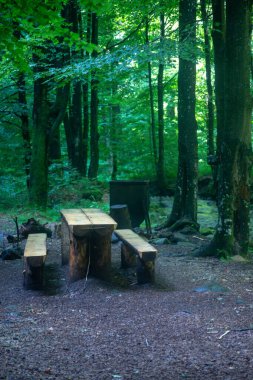 Huzurlu bir orman sahnesinde bir ahşap masa ve banklar yüksekteki ağaçların arasında bir sükunet anı davet eder..