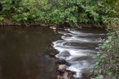 Serin bir nehir taşların üzerinden akar, yemyeşil yapraklar kıyılarda..