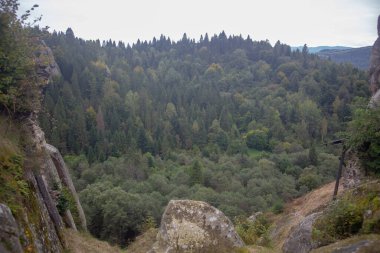 Kayalık bir noktadan görülen yemyeşil bir orman. Sahne, ağaçlar, kayalar ve gökyüzü ile doğanın güzelliğini yakalar..