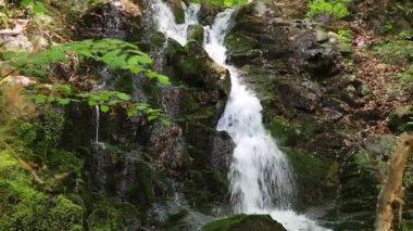 Serin şelalelerin büyüleyici güzelliğini deneyimleyin zarif bir şekilde yemyeşil ormanlarda akan