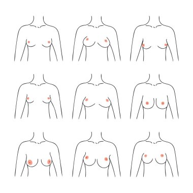 Different types of women breast in doodle style. Hand drawn vector illustration.