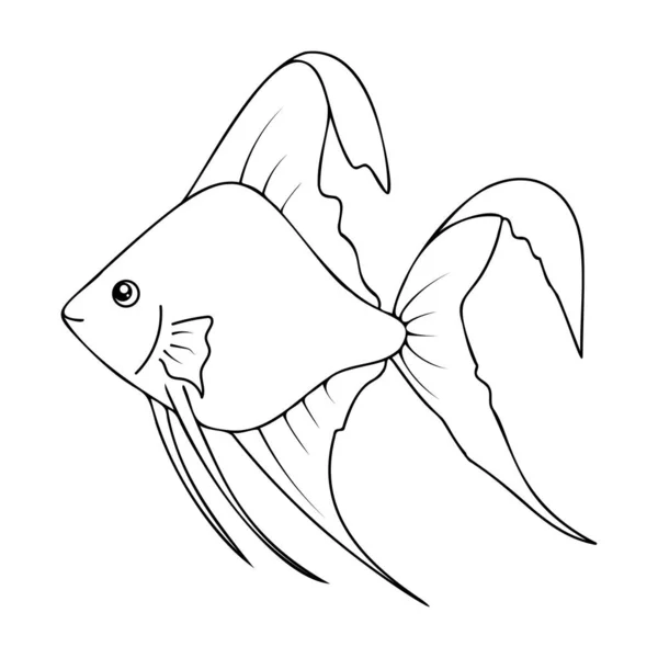 Disposition Angelfish Isolerad Vit Bakgrund Vektorbild Änglafisk — Stock vektor