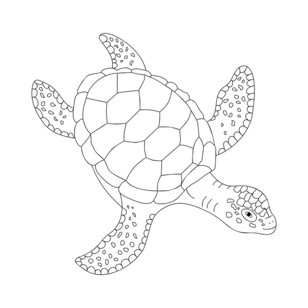Tortue Marine Esquisse Illustration Animale Coloriage Illustration Vectorielle Des Contours — Image vectorielle