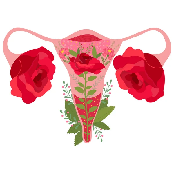 バラの花 女性の性質を持つ子宮の器官 フェミニズムの概念 女性の生殖健康 ベクターイラスト — ストックベクタ
